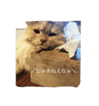 るしやま先生（個別スタンプ：2）