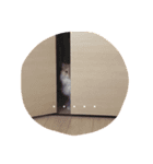 るしやま先生（個別スタンプ：7）