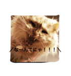 るしやま先生（個別スタンプ：8）