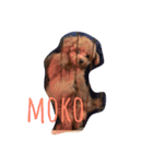 mokomokomokochan2（個別スタンプ：6）