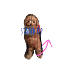 mokomokomokochan2（個別スタンプ：12）
