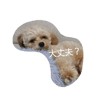The stamp which can be used daily part2（個別スタンプ：10）
