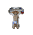 The stamp which can be used daily part2（個別スタンプ：16）