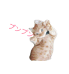 きなくんスタンプ2（個別スタンプ：8）