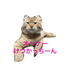 きなくんスタンプ2（個別スタンプ：12）