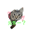 さくらもちNo.2（個別スタンプ：2）