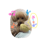 愛しのひなたん（個別スタンプ：3）