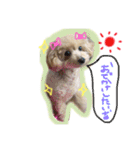 愛しのひなたん（個別スタンプ：7）