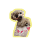 愛しのひなたん（個別スタンプ：8）