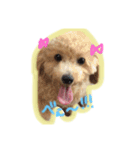 愛しのひなたん（個別スタンプ：9）