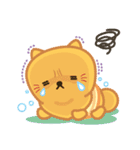 Little Pom（個別スタンプ：29）