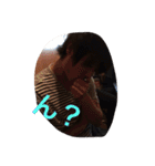 毛の王様 2（個別スタンプ：16）
