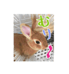 ☆毎日使える☆ミニウサギのミミちゃん♪（個別スタンプ：10）