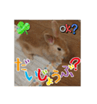 ☆毎日使える☆ミニウサギのミミちゃん♪（個別スタンプ：22）