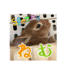☆毎日使える☆ミニウサギのミミちゃん♪（個別スタンプ：23）