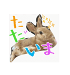☆毎日使える☆ミニウサギのミミちゃん♪（個別スタンプ：26）