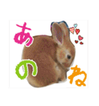 ☆毎日使える☆ミニウサギのミミちゃん♪（個別スタンプ：27）