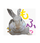 ☆毎日使える☆ミニウサギのミミちゃん♪（個別スタンプ：28）