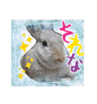 ☆毎日使える☆ミニウサギのミミちゃん♪（個別スタンプ：29）