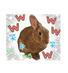 ☆毎日使える☆ミニウサギのミミちゃん♪（個別スタンプ：30）