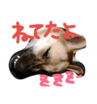 むっく3（個別スタンプ：15）