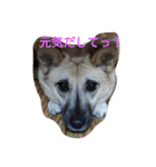 むっく3（個別スタンプ：22）