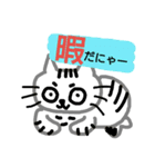飼い猫トラと実写＆下手くそスタンプ（個別スタンプ：3）