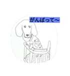 DOG CUTE 16（個別スタンプ：4）