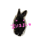 M stamp1（個別スタンプ：4）