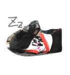 M stamp1（個別スタンプ：5）