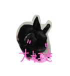 M stamp1（個別スタンプ：6）