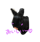 M stamp1（個別スタンプ：11）