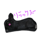 M stamp1（個別スタンプ：12）