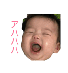 こまりん スタンプ2（個別スタンプ：13）