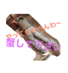こうじスタンプ（個別スタンプ：6）