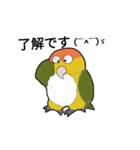 シロハラ松くん（個別スタンプ：2）