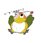 シロハラ松くん（個別スタンプ：5）