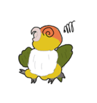 シロハラ松くん（個別スタンプ：7）