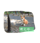 佐藤ジュニア（個別スタンプ：8）