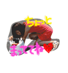 同期6人（個別スタンプ：2）