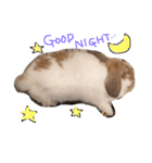 うさうさっぴー（個別スタンプ：3）