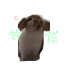 うさうさっぴー（個別スタンプ：6）