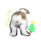 うさうさっぴー（個別スタンプ：8）