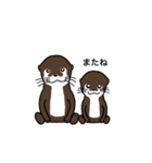 コツメカワウソのスタンプ（個別スタンプ：40）