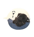 ムイスタンプ1（個別スタンプ：4）