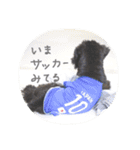 ムイスタンプ1（個別スタンプ：11）