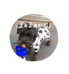 ムイスタンプ1（個別スタンプ：13）