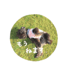 ムイスタンプ1（個別スタンプ：16）