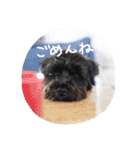 ムイスタンプ1（個別スタンプ：17）