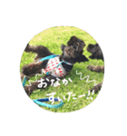 ムイスタンプ1（個別スタンプ：27）